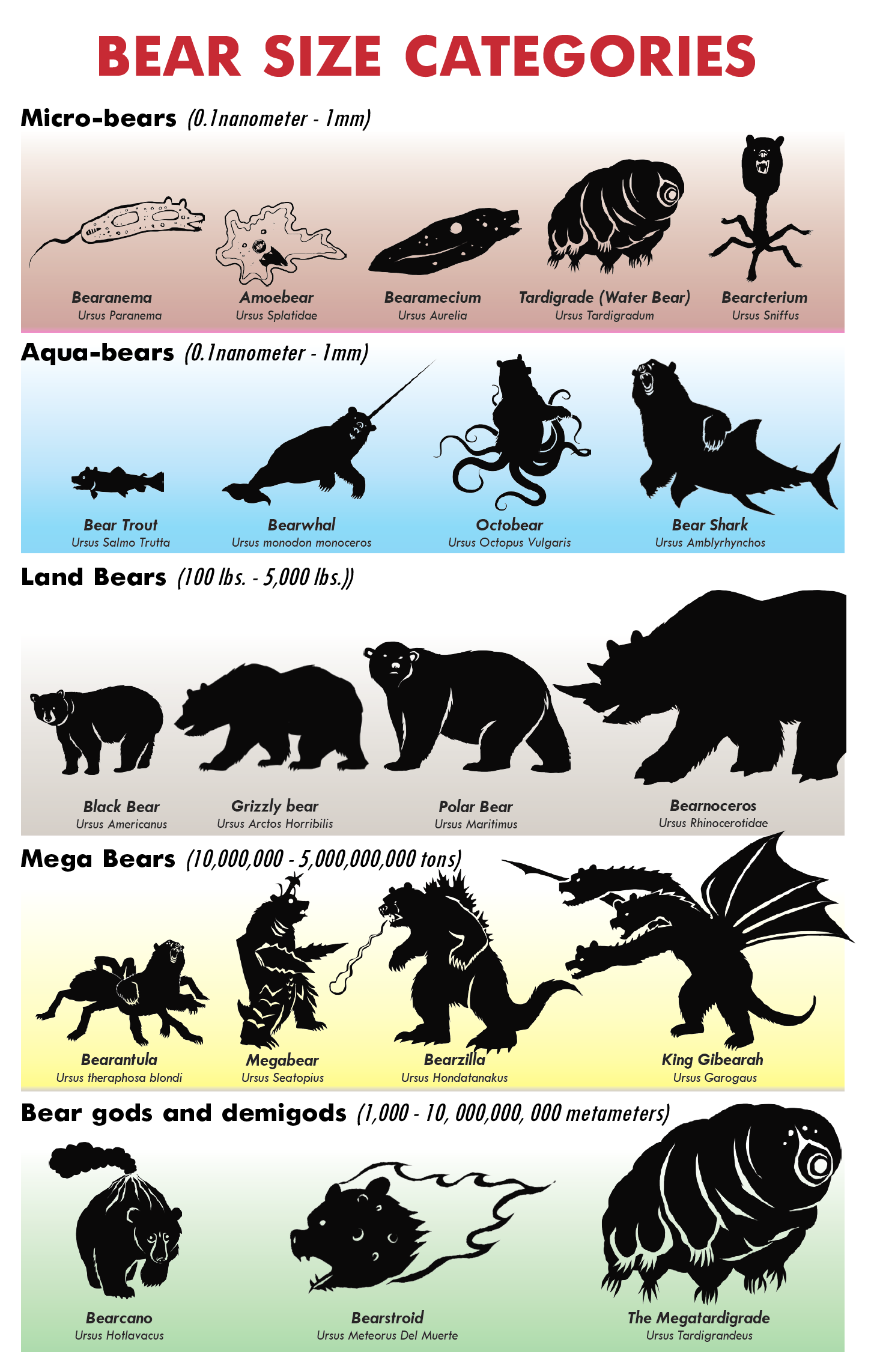 Bear Size Chart