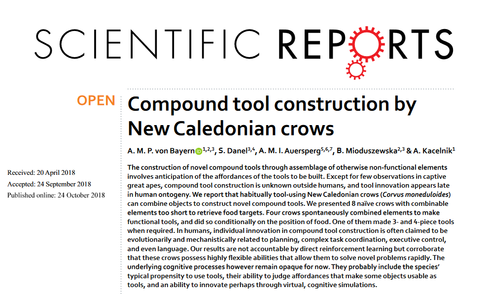 Screenshot_2018-10-28-Compound-tool-construction-by-New-Caledonian-crows---s41598-018-33458-z-pdf-1