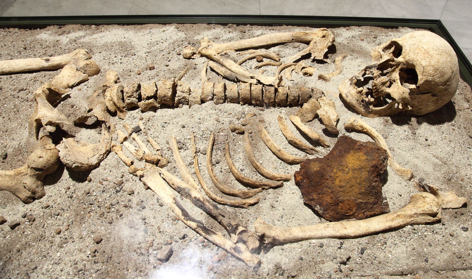 Vampire_skeleton_of_Sozopol_in_Sofia_PD_2012_06