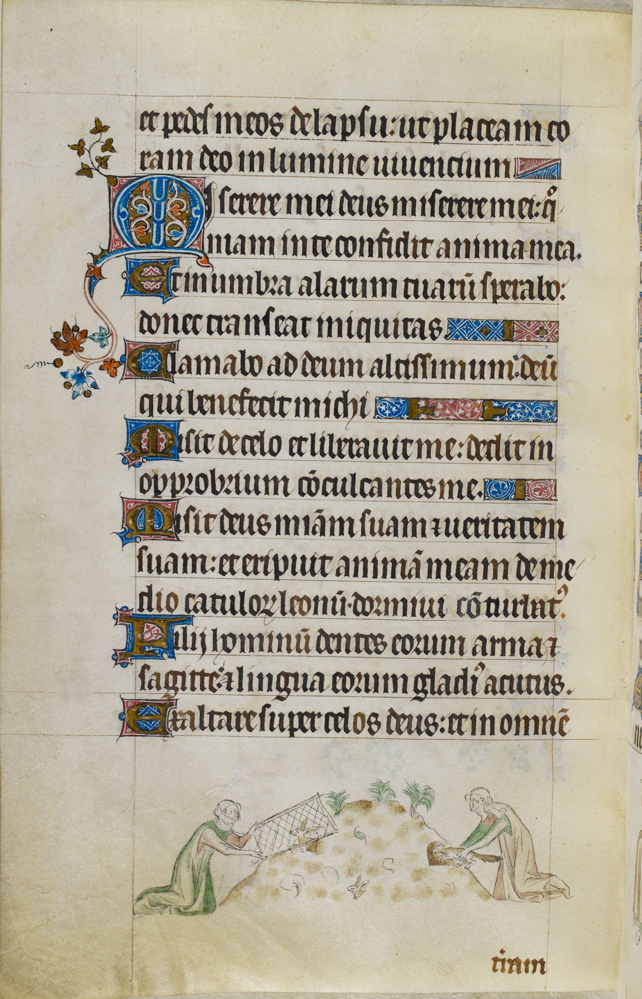 royal_ms_2_b_vii_f155v